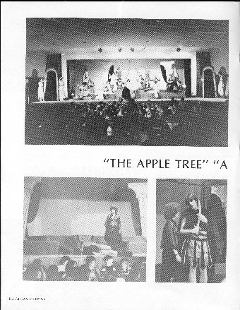 The Apple Tree 2